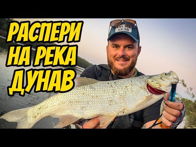 РИБОЛОВ НА РАСПЕР НА РЕКА ДУНАВ. КАК СЕ БИЯТ ЗА МЯСТО?