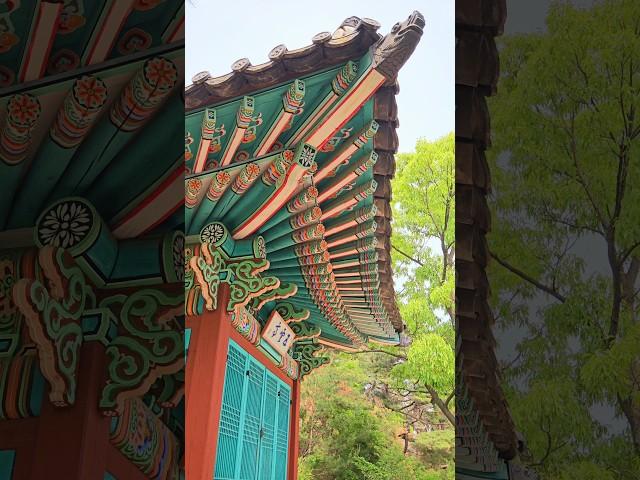 #청와대 #오운정 #ounjeongpavilion #korea