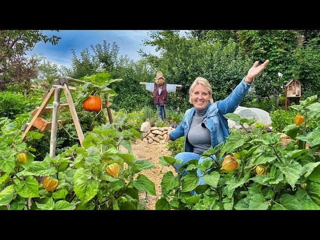 Unglaublicher Selbstversorger-Garten: Diese Frau baut alles Gemüse selbst an