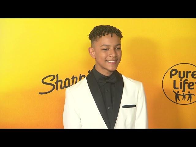 Mufasa: The Lion King: World premiere red carpet b-roll | ScreenSlam