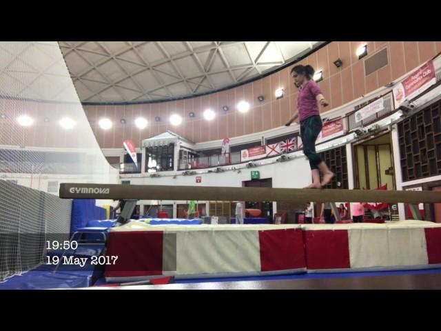 My first year of adult gymnastics