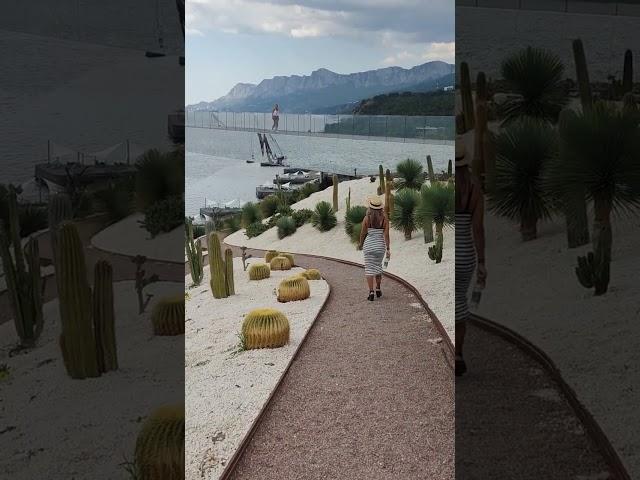 13 сентября 2023 г.кактусы.Крым .отель Мрия.