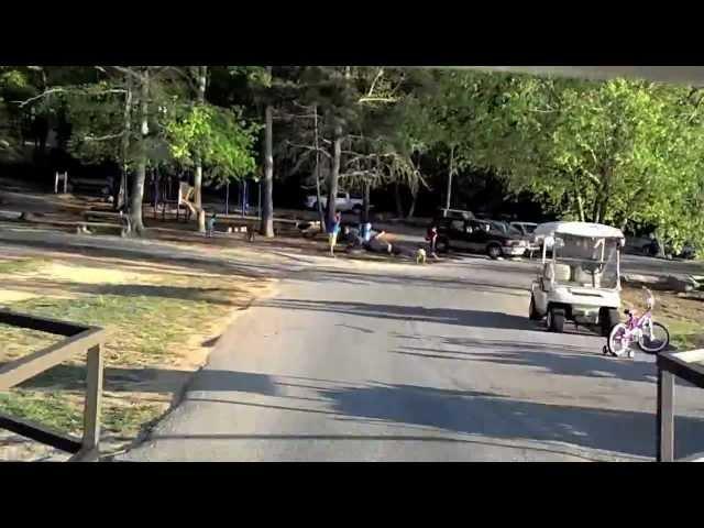 Peachtree City Paths Golf Cart Tour