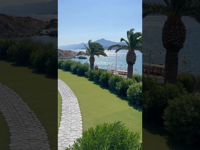 Experience an unforgettable stay in Greece. Like & Subscribe. #lifeingreeceandbeyond #mentalhealth