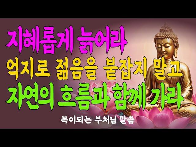 나이 듦의 지혜 #중년의지혜 #인생이야기 #조용한성장 #삶의깊이 #시간의선물