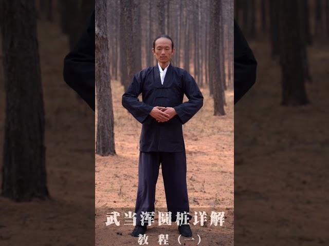 渾元樁站樁教程1。站樁是太極拳的基本功，看起來一動不動的功夫，其實藏著非常多的竅門