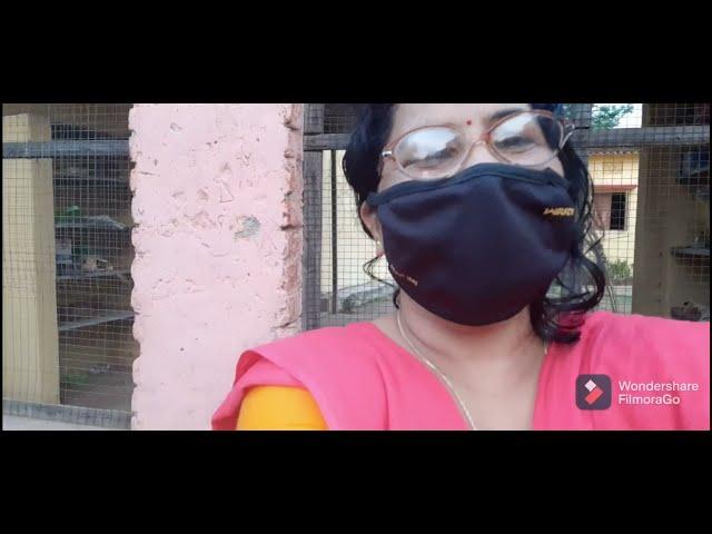 Rourkela Hamirpur Re Kukuda Ladhaye