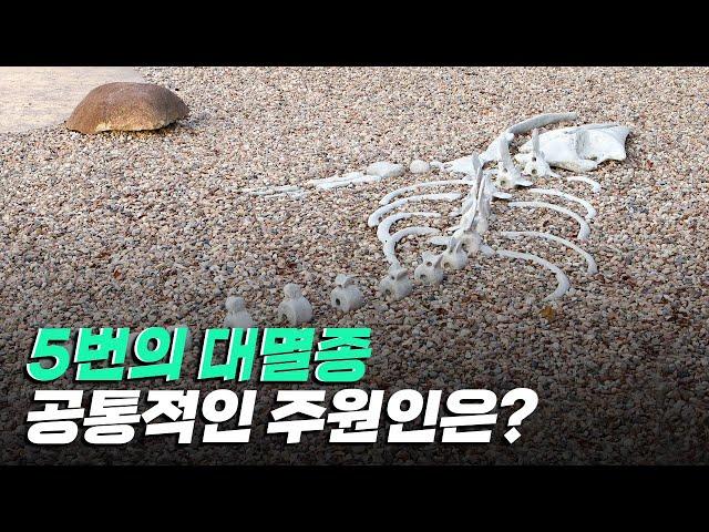 [핫클립] 지구의 5차 대멸종의 공통적인 원인은 무엇일까? / YTN 사이언스