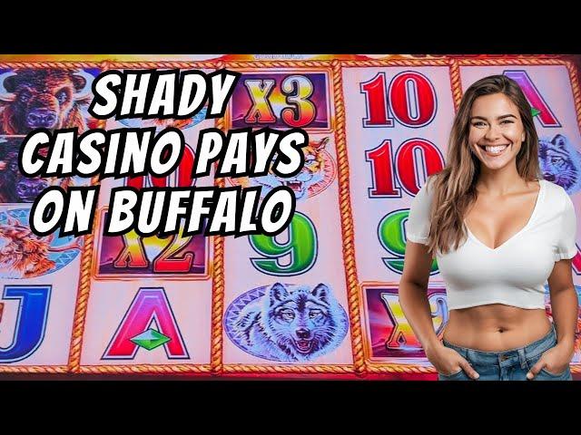 Shady Casino Pays Out On Buffalo Gold Slot Machine #2024 #4k