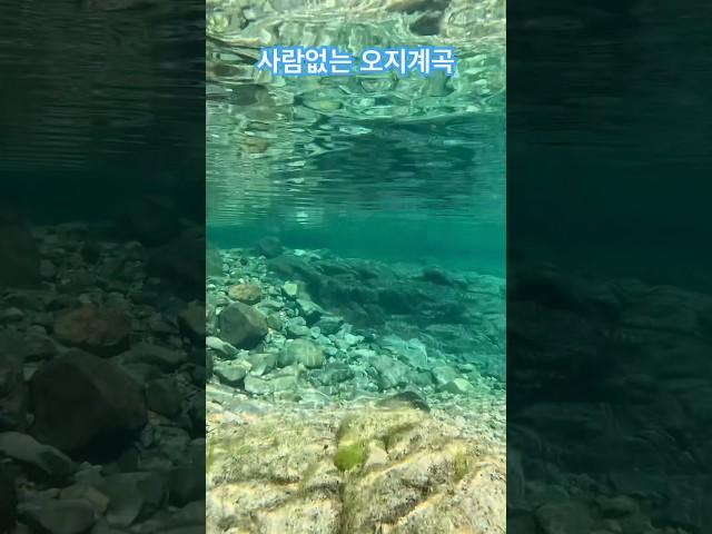 사람하나 없는 오지 계곡 #계곡추천 #여름휴가 #하옥계곡 #오지계곡
