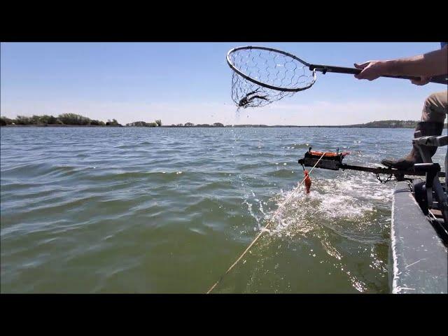 How to Trotline Crab - (The Crab Show) - Early Spring