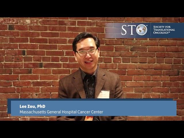 Targeting the ATR Kinase in Cancer Therapy