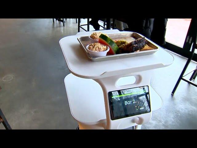 Robot food runner: Massachusetts restaurant's high-tech solution for staff shortage