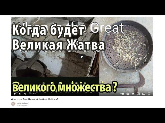 Когда великая жатва великого множества? Йом Кипур 2023 г. Лиланд Джонс