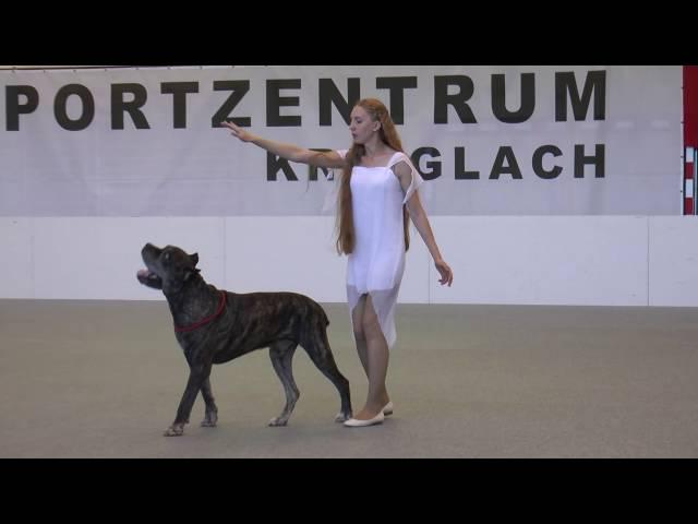 OEC DogDance 2016 HTM 2nd Place