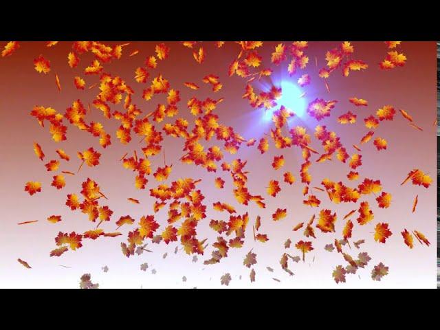Leaves Particles + God Rays | Patch from Music Hackspace Live Stream
