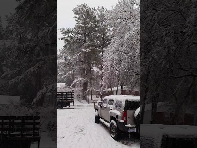Nieve en Garner N.C enero 2018