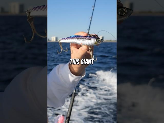 Fishing A GIANT Lure For A MONSTER #shorts #fishing