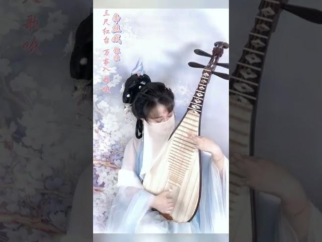 琵琶Pipa cvoer【牽絲戲】#shorts #shortsvideo Chinese pipa | 音若子兮YinRuoZiXi