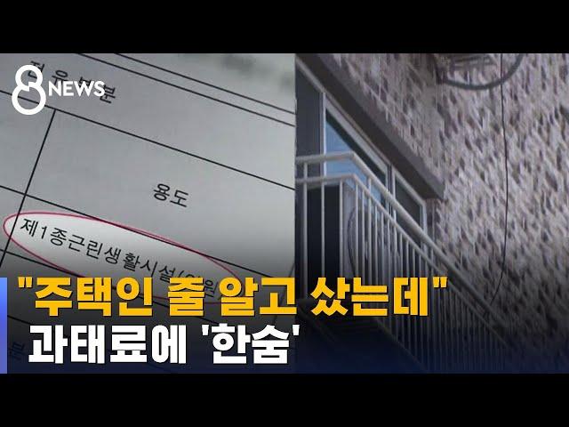 [제보] "주택인 줄 알고 샀는데"…과태료에 '한숨' / SBS