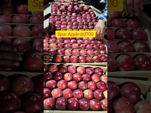 ₹2700 Today's Spur Apple Market  | Apple Market Update | Himalayan farming | Live Update