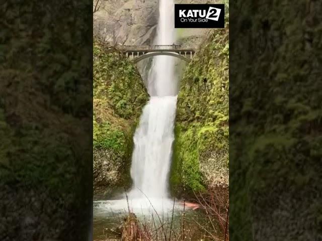 Multnomah Falls is beginning to show signs of spring.  #katu2abc #katu #portland #shorts #waterfall