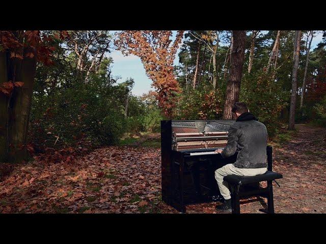 Autumn Falls - James Malikey (Official Video)