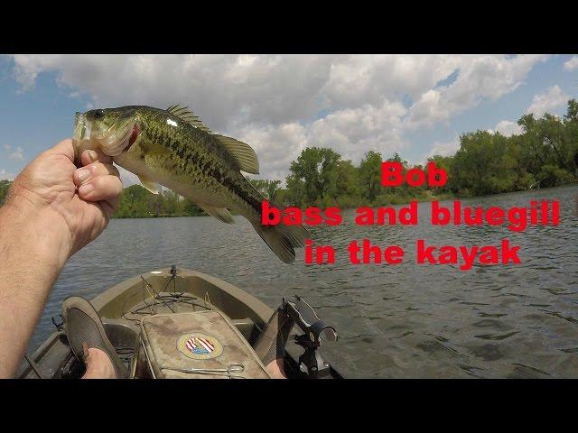 Bob bass and bluegill in the Kayak