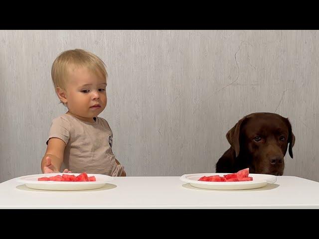 Baby and His Dog Wait for Treats!  Funniest Ending!