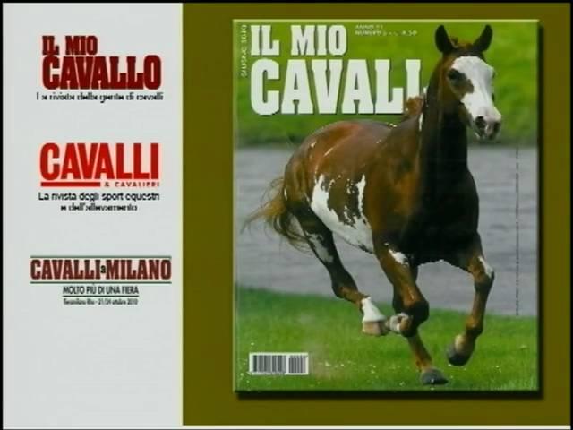 spot il mio cavallo.mpg