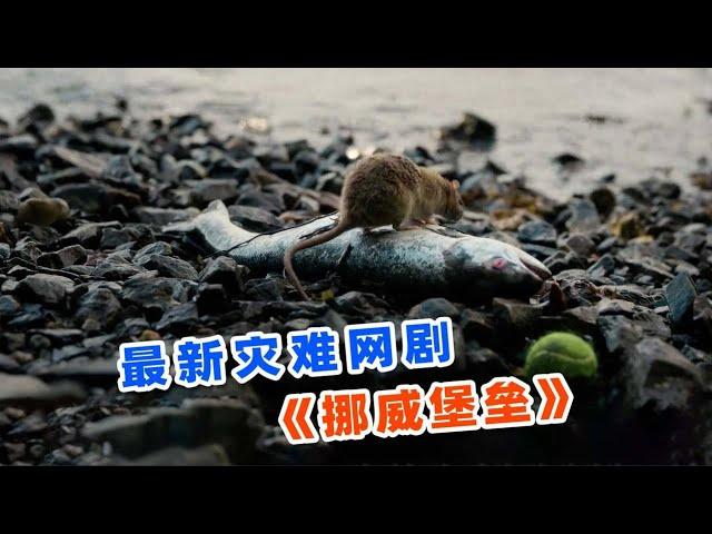 2024最新灾难网剧《挪威堡垒》