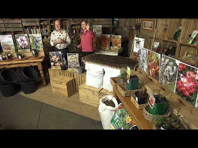 LIVE Sunday Shopping with You Garden