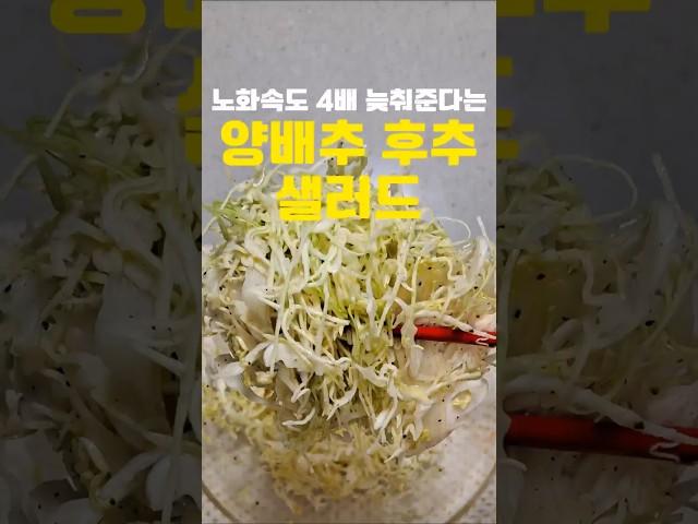 [저속노화 Ep.2]노화속도 4배 늦춰준다는 양배추후추 샐러드‼️#레시피 #건강식단 #노년내과 #다이어트식단