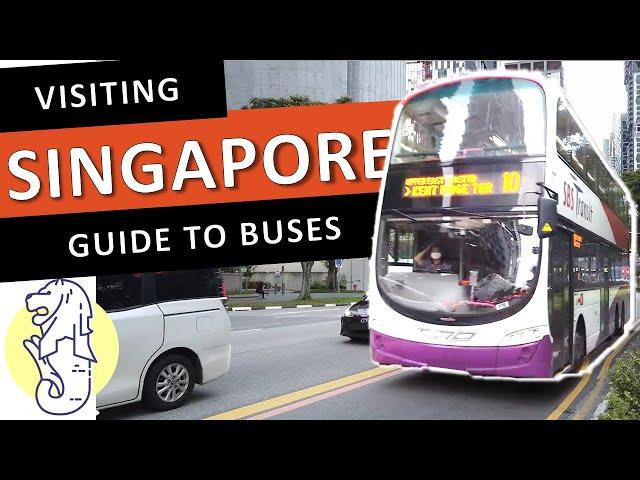 How to Catch the Bus in Singapore | Visitors Guide