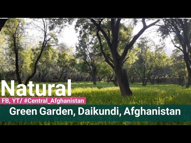Daikundi, Afghanistan, Green Nature