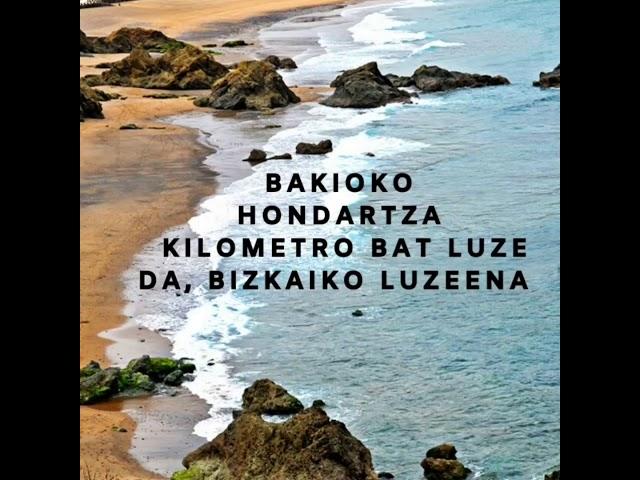 Bakio - ko hondartzaren ezaugarriak.