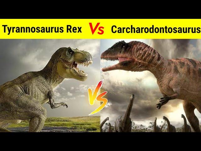 T-Rex Vs Carcharodontosaurus के Battle में किस dinosaur की होगी जीत ?