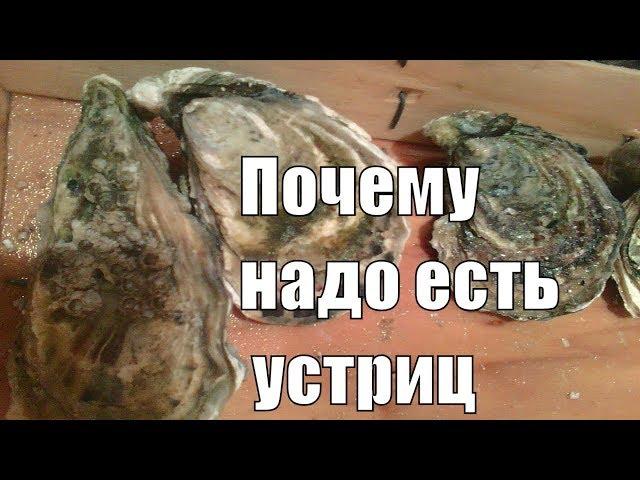 УСТРИЦА ПОЛЕЗНЫЕ СВОЙСТВА