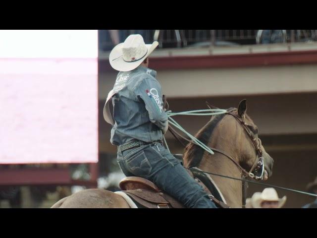 PRCA's Top 5 Team Roping Heelers of 2024