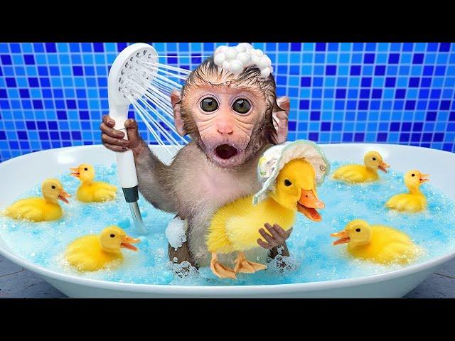 Monkey Baby Bon Bon eats jelly in the pool with duckling and goes to the farm with puppy