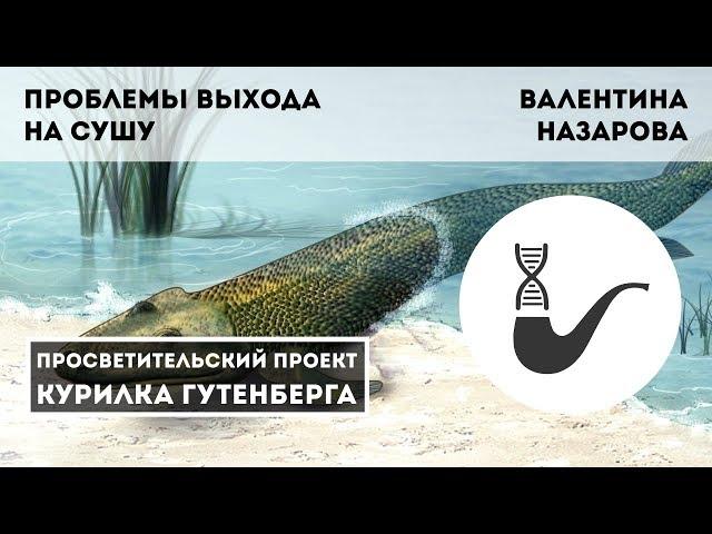 Проблемы выхода на сушу – Валентина Назарова