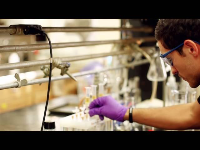 Online Brewing Science Course