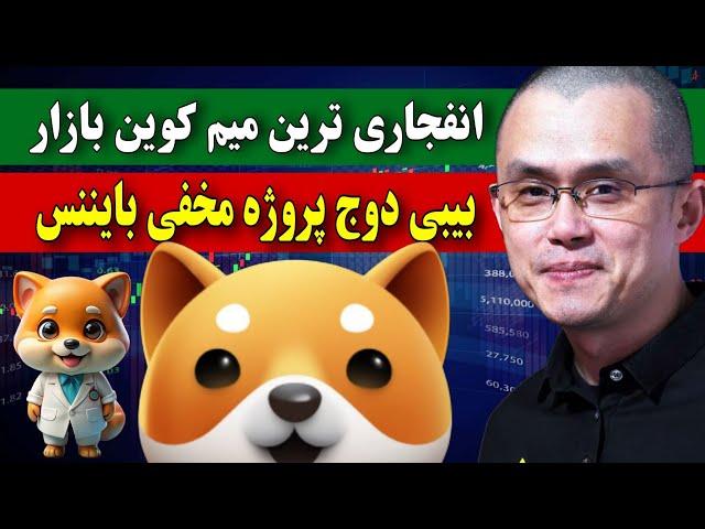 فوووووری  انفجاری ترین میم کوین بازار / بییی دوج پروژه مخفی بایننس برای بولران