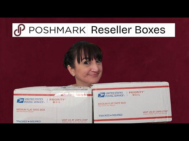 Testing Out Cheap Reseller Boxes From POSHMARK