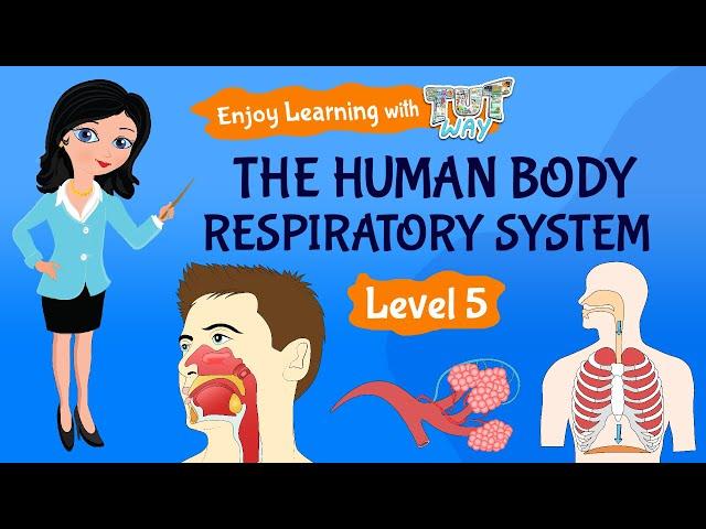 The Human Body: Respiratory System | Science | Grade 5 | TutWay