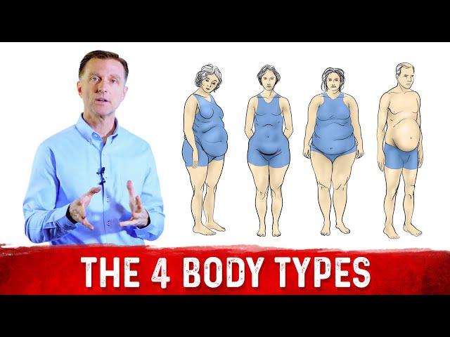 What Are The 4 Body Types?: Dr.Berg Explains Different Body Types & Belly Fat