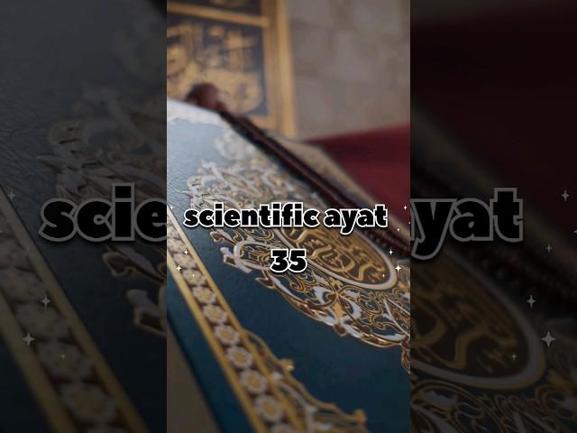 surah al nahl ayat 68-69 quran and science #islamic #education #bee #amazingfacts #quran #science