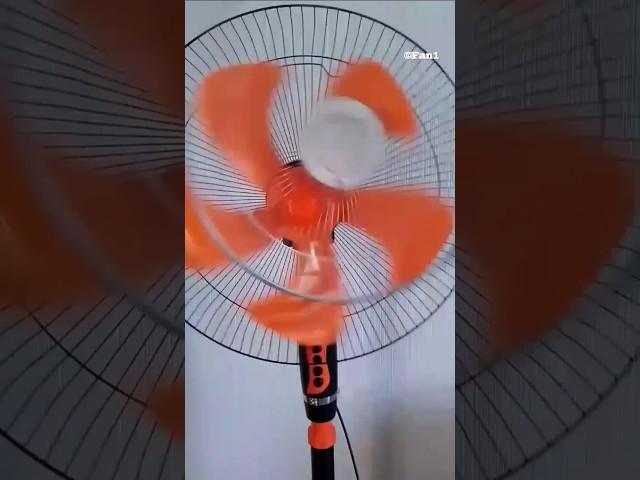 Fan Dancing 48 - Funny Video #ceilingfan #kipasangin #india #shorts