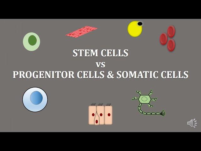 stem cells | progenitor cells | somatic cells | scitechtrends