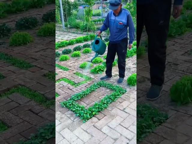 Super Gardening  #satisfying #short